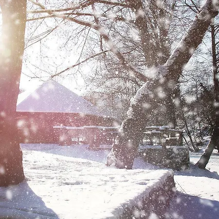 Гостевой дом Bosa Noga Rzav