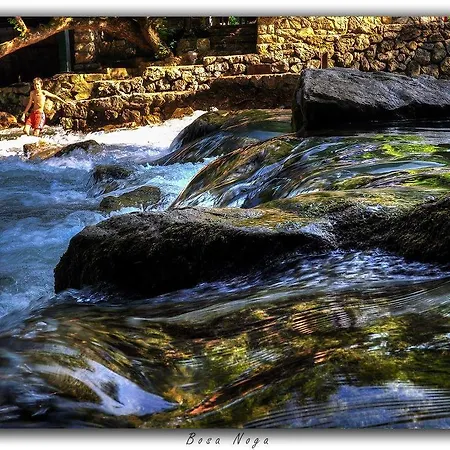 Bosa Noga Rzav Гостевой дом Arilje