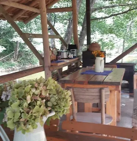 Гостевой дом Bosa Noga Rzav Arilje