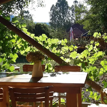 Bosa Noga Rzav Гостевой дом Arilje