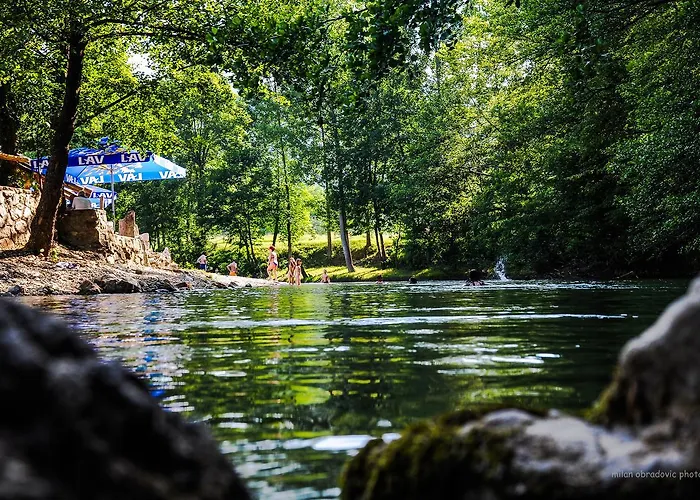 Bosa Noga Rzav Pensjonat Arilje