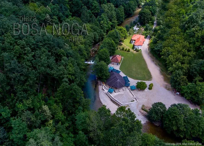 Pensjonat Bosa Noga Rzav Arilje