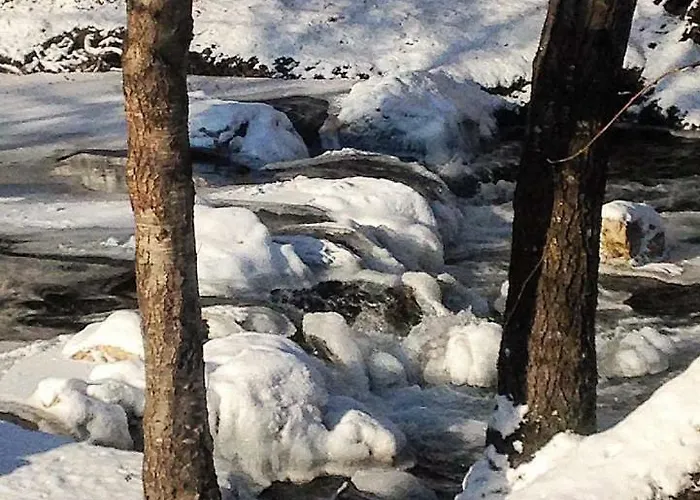 Pensjonat Bosa Noga Rzav Arilje