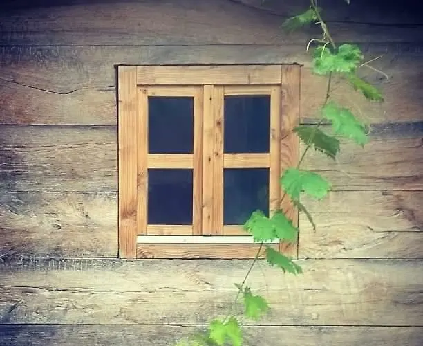 Pensjonat Bosa Noga Rzav Arilje