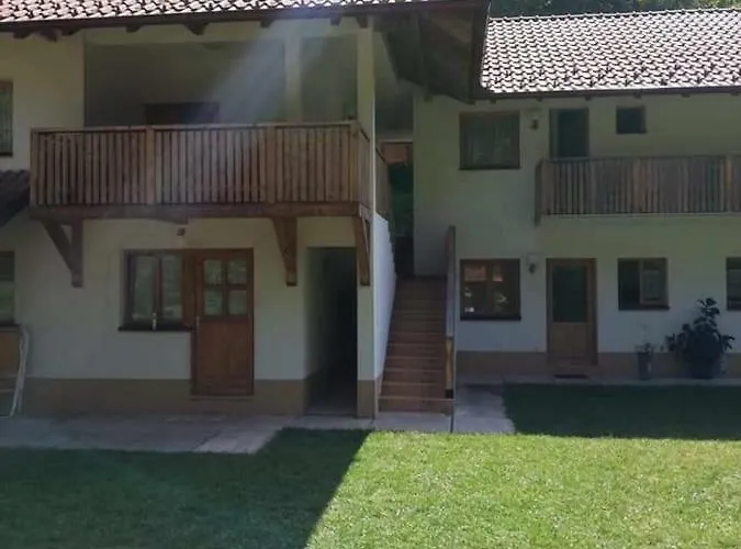 Bosa Noga Rzav Arilje