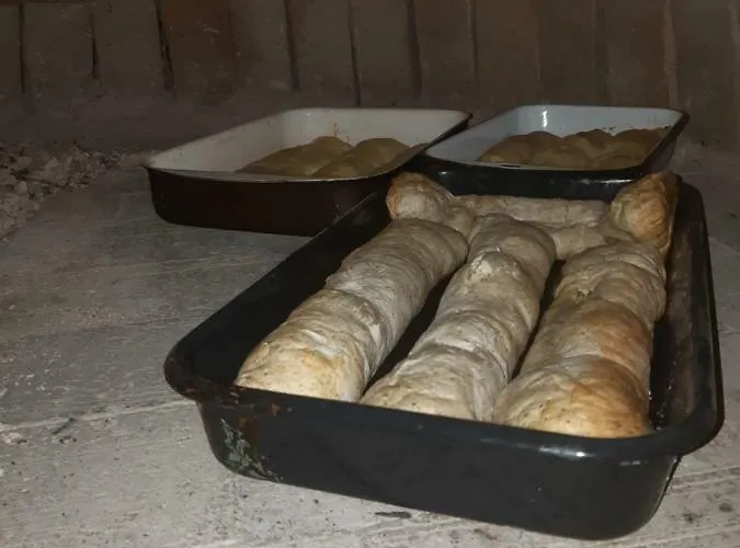 Pensjonat Bosa Noga Rzav *